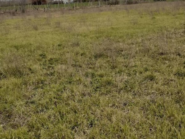 casa indipendente in vendita a San Miniato in zona Roffia