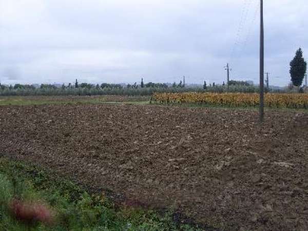 terreno in vendita a San Miniato