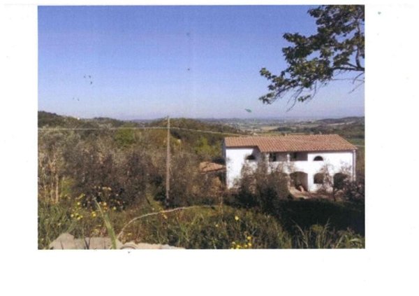 azienda agricola in vendita a San Miniato in zona Balconevisi