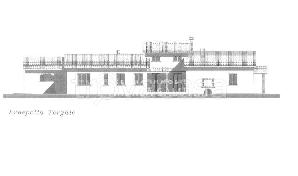 terreno agricolo in vendita a San Miniato