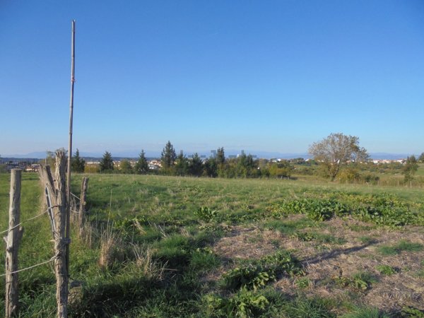terreno in vendita a San Miniato in zona San Romano