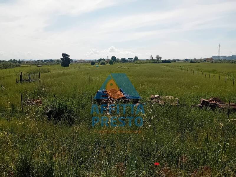 terreno agricolo in vendita a San Miniato in zona San Miniato Alto