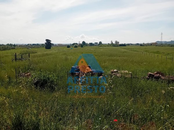terreno agricolo in vendita a San Miniato
