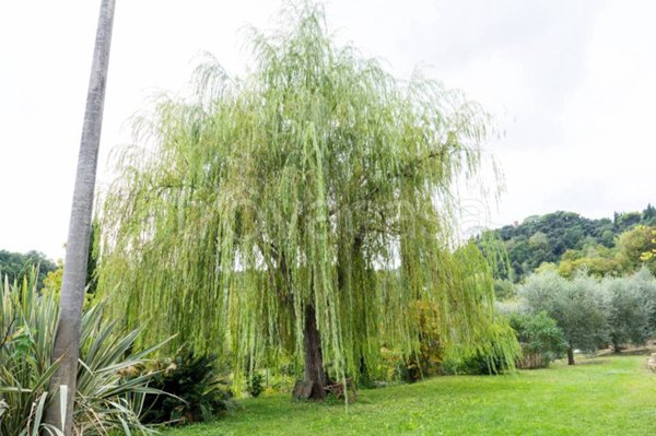 casa indipendente in vendita a San Miniato in zona La Serra