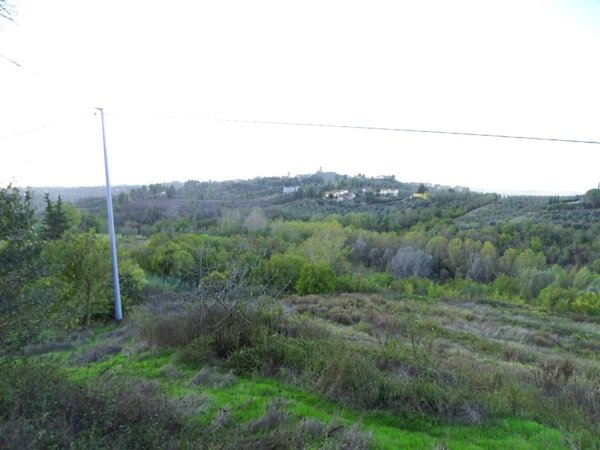terreno agricolo in vendita a San Miniato