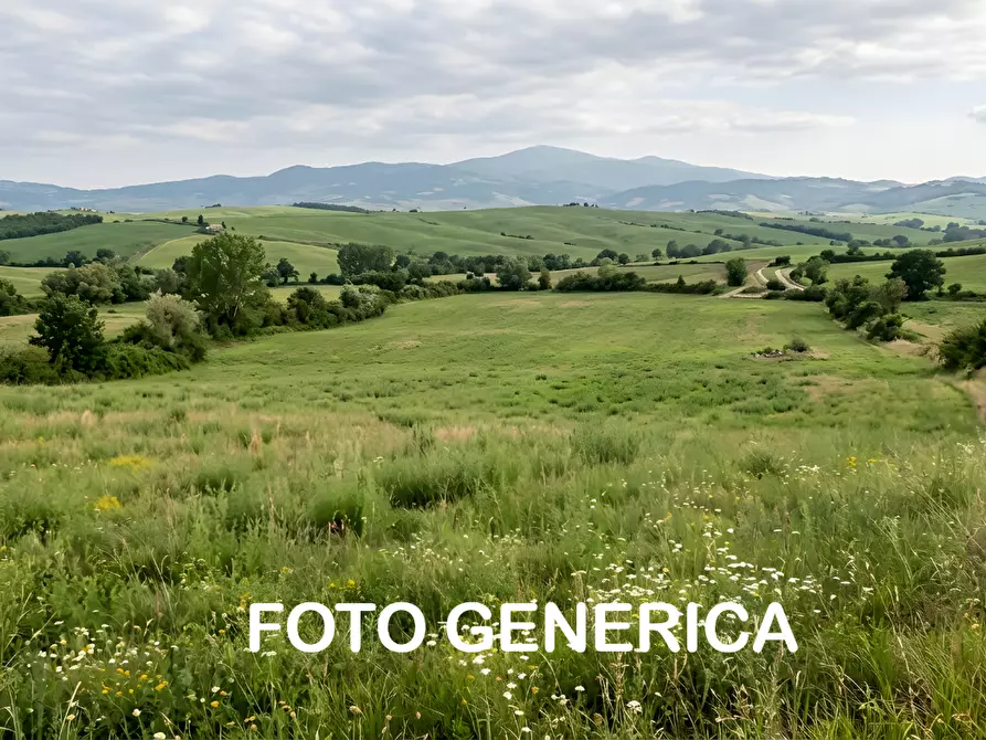 terreno agricolo in vendita a San Miniato