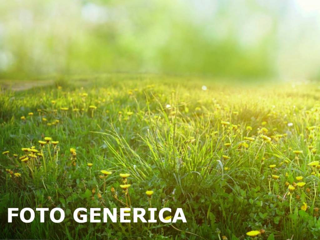 terreno agricolo in vendita a San Miniato