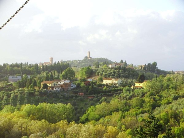 terreno agricolo in vendita a San Miniato