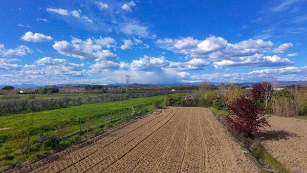 terreno agricolo in vendita a San Miniato in zona La Scala