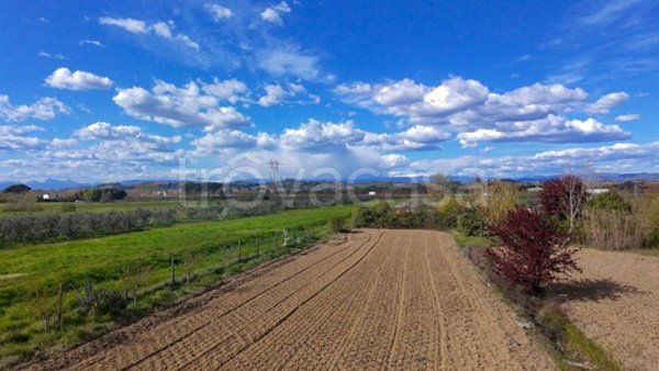 terreno agricolo in vendita a San Miniato in zona La Scala