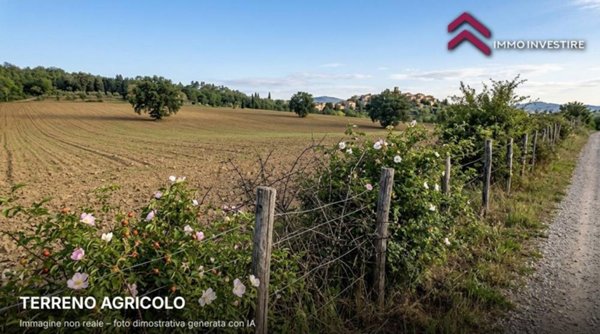 terreno agricolo in vendita a San Miniato