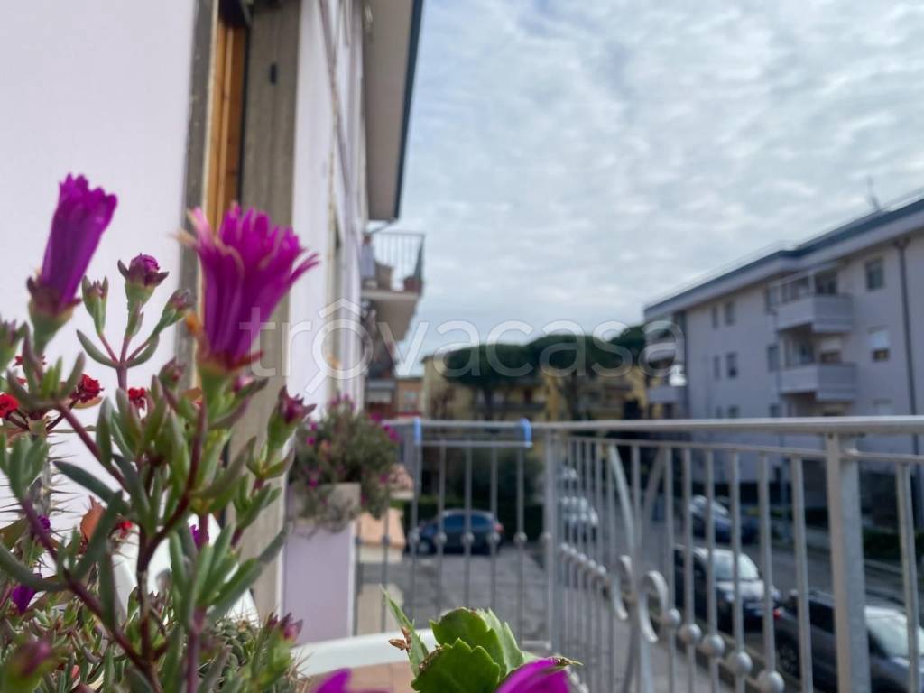 appartamento in vendita a Santa Croce sull'Arno