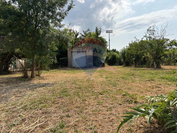 terreno agricolo in vendita a Santa Croce sull'Arno