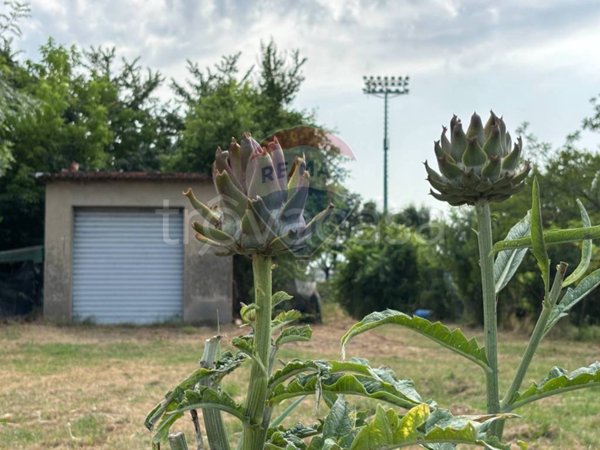 terreno agricolo in vendita a Santa Croce sull'Arno