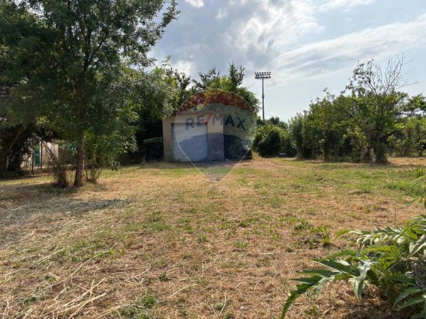 terreno agricolo in vendita a Santa Croce sull'Arno