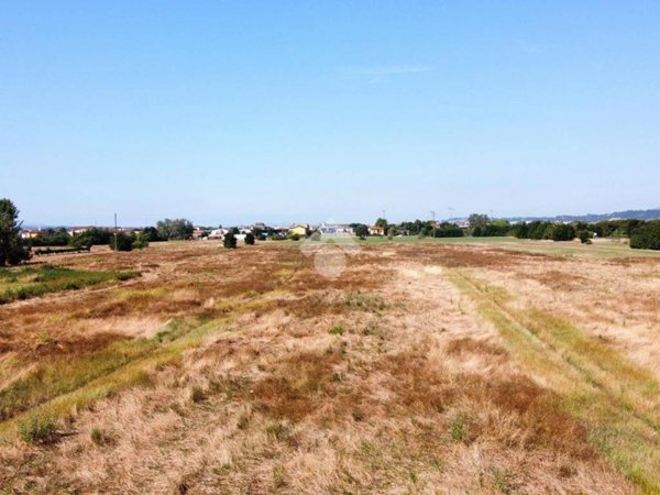 terreno agricolo in vendita a Santa Croce sull'Arno