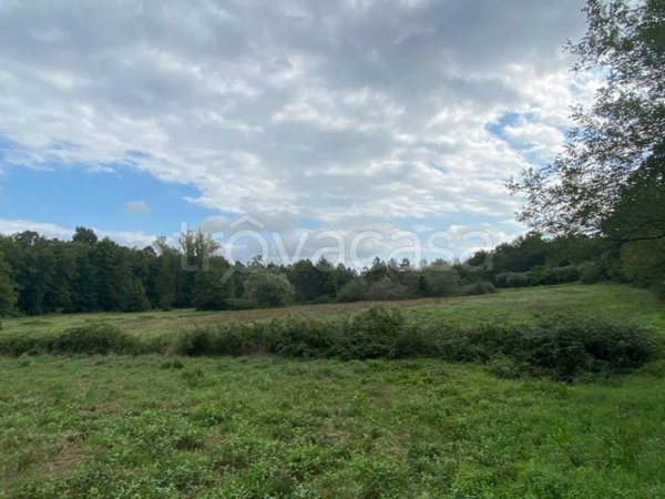 terreno agricolo in vendita a Santa Croce sull'Arno in zona Staffoli