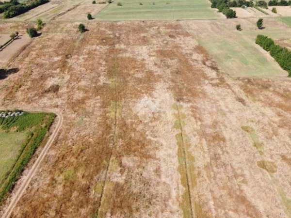 terreno agricolo in vendita a Santa Croce sull'Arno