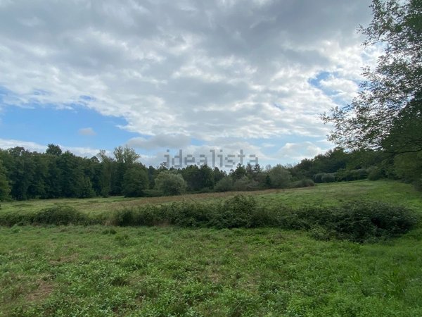 terreno agricolo in vendita a Santa Croce sull'Arno in zona Staffoli