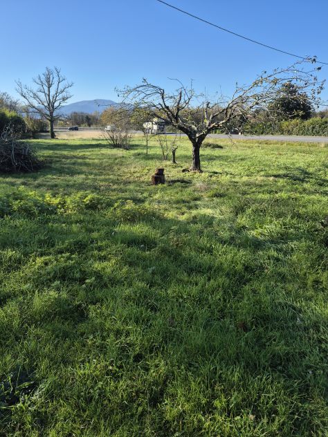 terreno agricolo in vendita a Santa Croce sull'Arno
