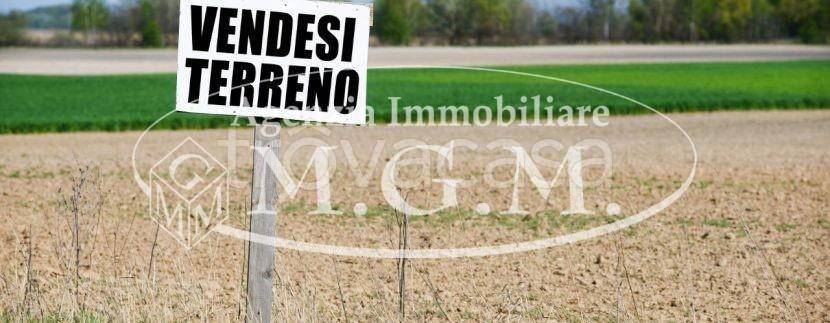 terreno agricolo in vendita a Santa Croce sull'Arno