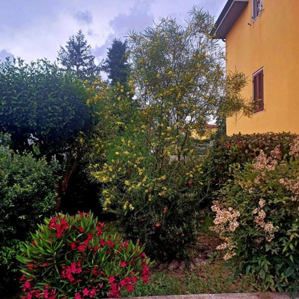 casa indipendente in vendita a Santa Croce sull'Arno in zona Staffoli