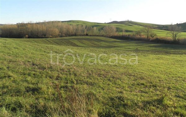 terreno agricolo in vendita a Santa Luce
