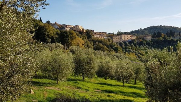 appartamento in vendita a Santa Luce