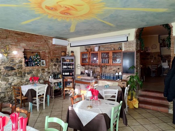 negozio in vendita a Santa Luce