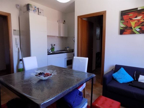 appartamento in vendita a Santa Luce in zona Pastina
