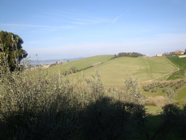 appartamento in vendita a Santa Luce in zona Pomaia