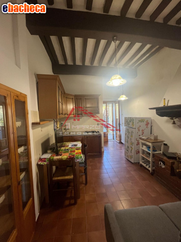 appartamento in vendita a Santa Luce in zona Pastina