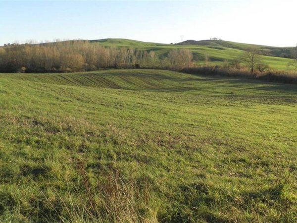 terreno agricolo in vendita a Santa Luce