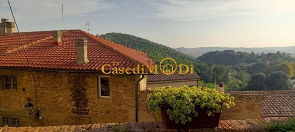 casa indipendente in vendita a Santa Luce