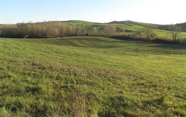 terreno agricolo in vendita a Santa Luce in zona Pomaia