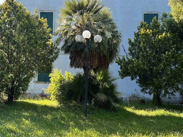 casa indipendente in vendita a Santa Luce