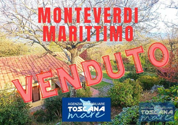 casa indipendente in vendita a Santa Luce