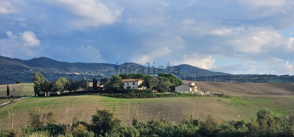 casa indipendente in vendita a Santa Luce