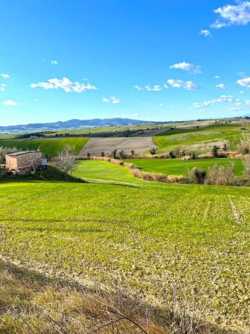 terreno agricolo in vendita a Santa Luce in zona Pastina