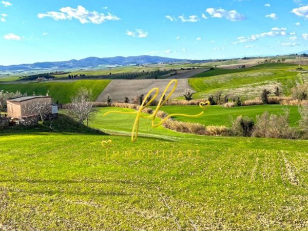 terreno agricolo in vendita a Santa Luce