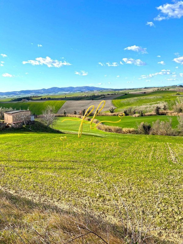 terreno agricolo in vendita a Santa Luce