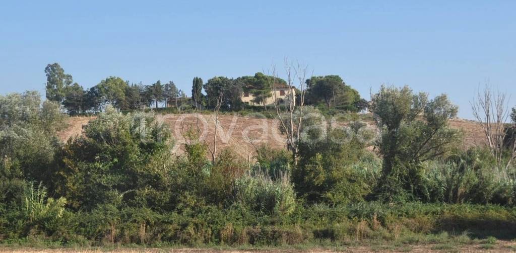 casa indipendente in vendita a Santa Luce