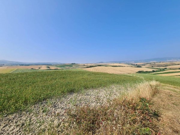 terreno agricolo in vendita a Santa Luce