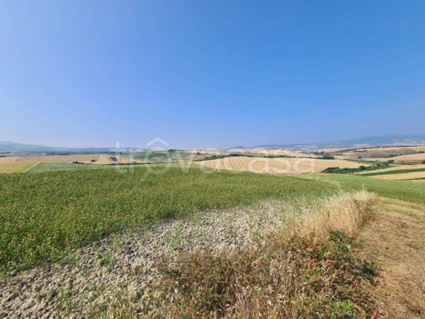 terreno agricolo in vendita a Santa Luce