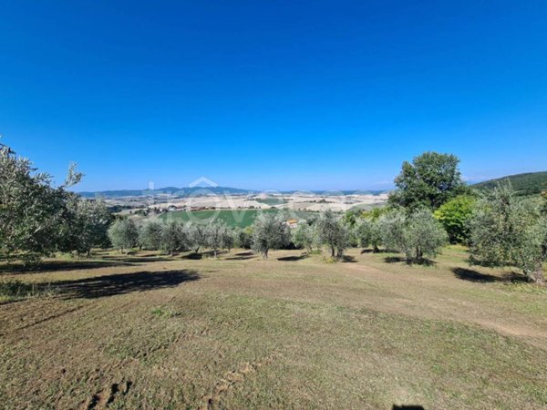 ufficio in vendita a Santa Luce