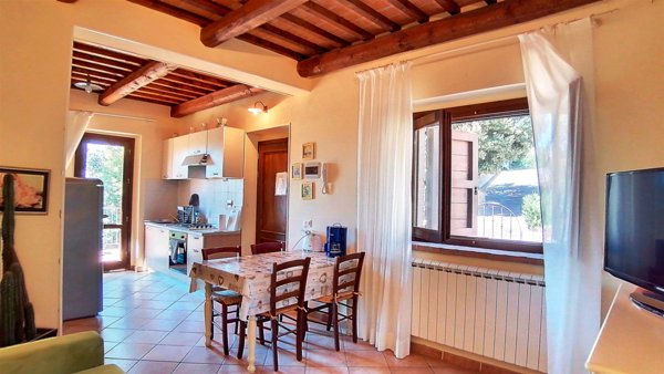 appartamento in vendita a Santa Luce in zona Pastina