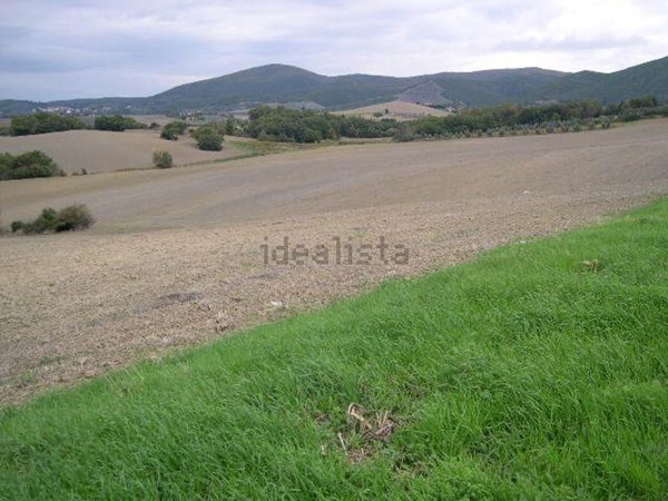 casa indipendente in vendita a Santa Luce