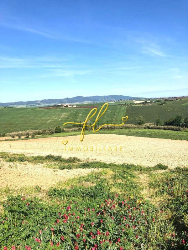 terreno agricolo in vendita a Santa Luce