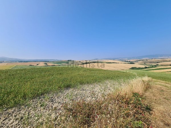 terreno agricolo in vendita a Santa Luce