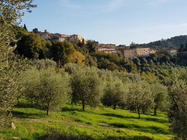 appartamento in vendita a Santa Luce